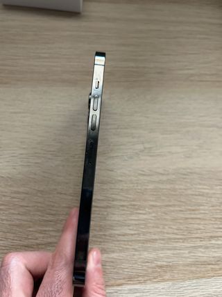 iPhone 13 Pro Max Apple