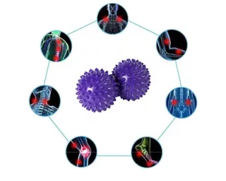 Disco Equilibrio Morado + Bomba + Pelotas