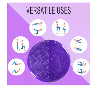 Disco Equilibrio Morado + Bomba + Pelotas