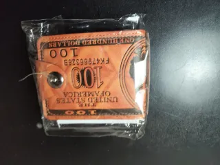 Portafoglio stile banconota 100 dollari