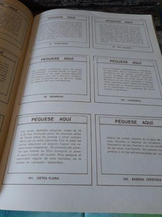 Mundo Submarino, Álbum + 100 Sobres (año 1973)