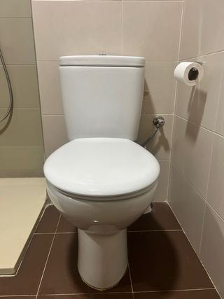 Inodoro blanco y marrón