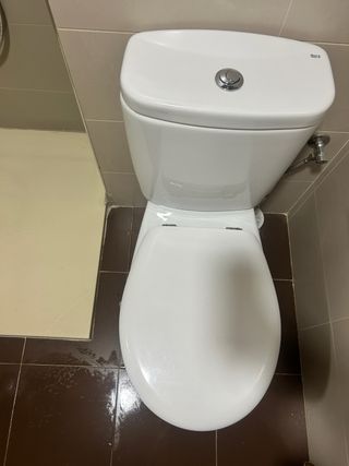 Inodoro blanco y marrón