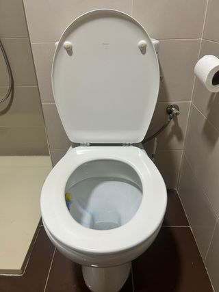 Inodoro blanco y marrón