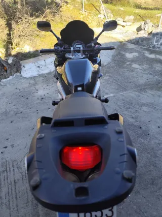Yamaha FZ6 600 Naked