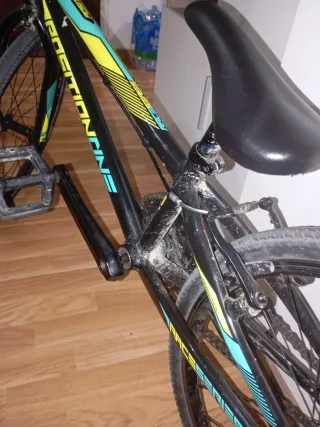 Bici de Pumptrack 20" para niña/o.