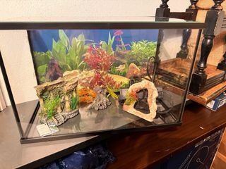 Acuario de cristal con el motor