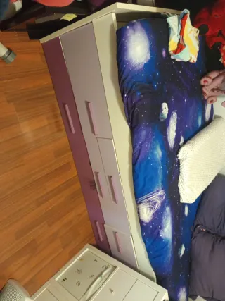 Cama nido 2 camas morado y blanco