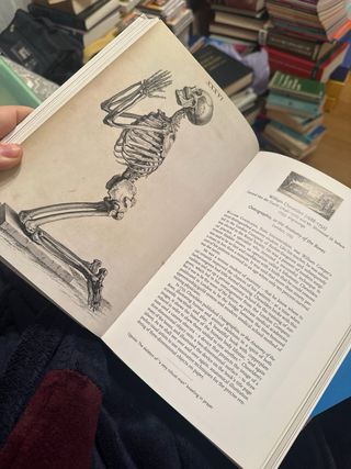 Human Anatomy A Visual History from the Renaiss...