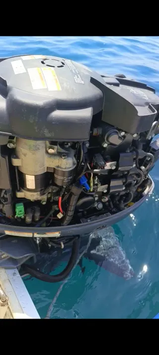 Motor Yamaha F60CET 60CV Fuera Borda