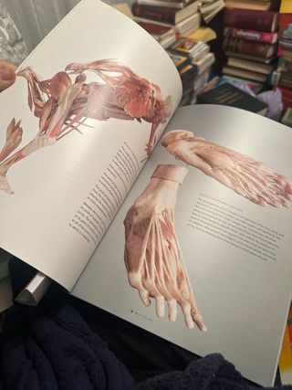 Bodies The Exhibition