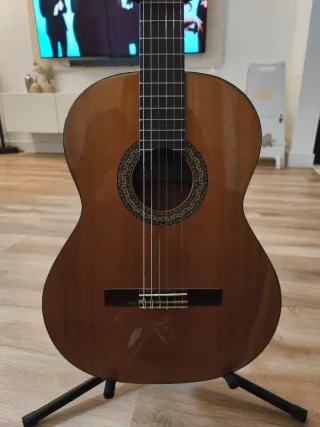 Guitarra Alhambra 3C