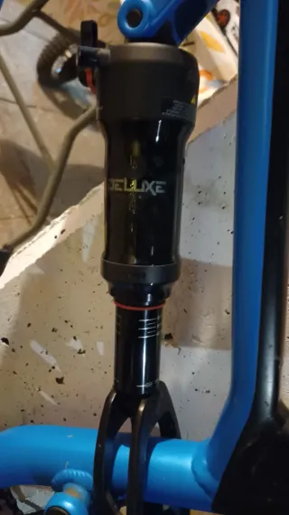 Bicicleta Canyon Neuron AL 8 2023