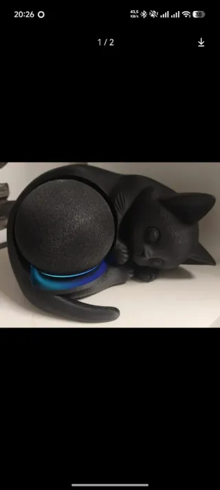 Porta Alexa Gatto 3D