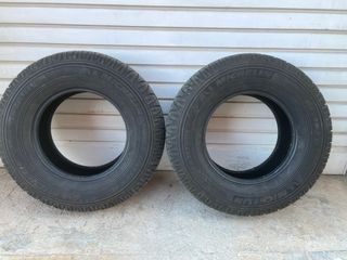 Neumáticos Michelin Latitude Cross 265/70 R16