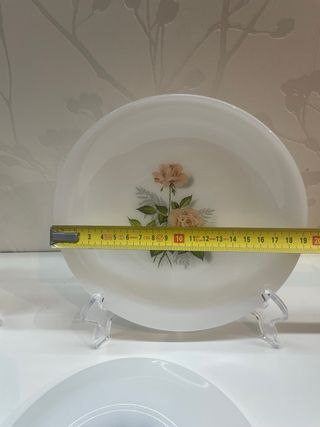 6 Platos Postre Arcopal Rosas