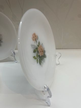 6 Platos Postre Arcopal Rosas