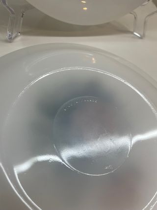 6 Platos Postre Arcopal Rosas