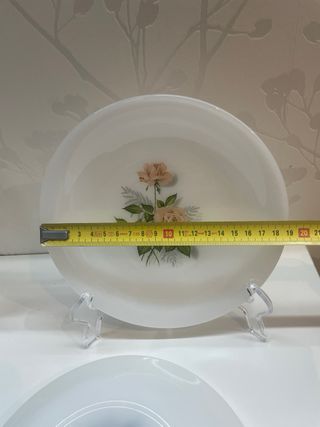 6 Platos Postre Arcopal Rosas