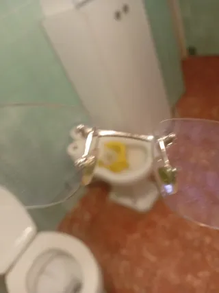 Gafas Cartier Plata son verdad