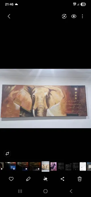 Cuadro decorativo de elefante