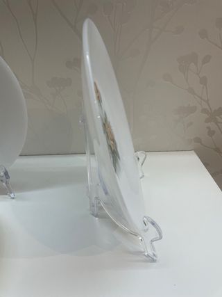 6 Platos Llanos Arcopal Rosas