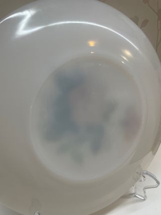 6 Platos Llanos Arcopal Rosas