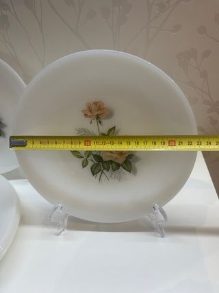 6 Platos Llanos Arcopal Rosas