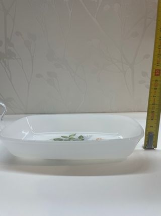 Arcopal Fuente Rabanera Rosas