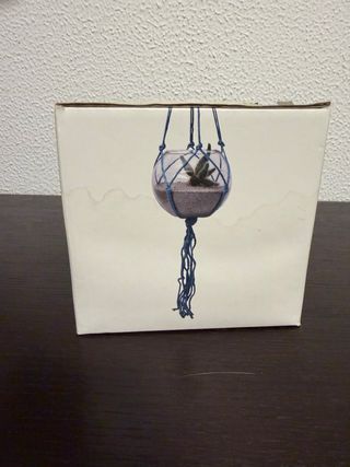 Macetero colgante cristal esférico azul