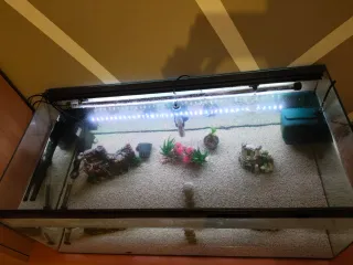 Acuario grande