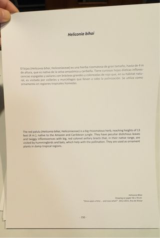 Láminas ilustradas Ana de Alvear