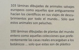 Láminas ilustradas Ana de Alvear