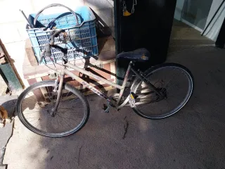 Bicicleta de montaña