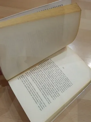 A nosa cinza: Novela (Colección literaria)