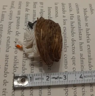 Nido de cigüeñas miniatura