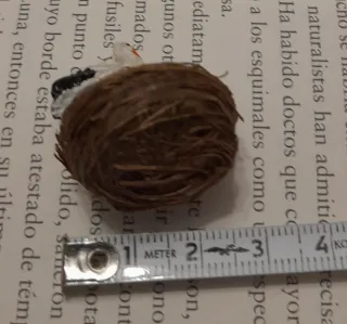 Nido de cigüeñas miniatura