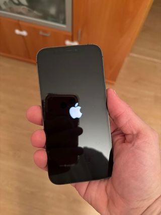 iPhone 12 Pro Negro Espacial