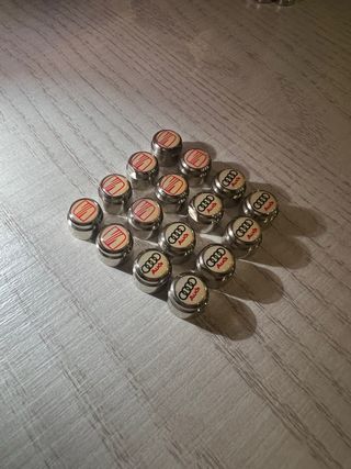 Tapones Rueda Audi y Seat