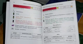 Guías de actuación enfermera en urgencias