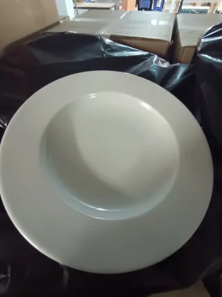 Plato hondo ALAR profesional