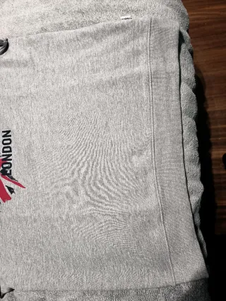 Sudadera Pepe Jeans Gris con Bandera UK