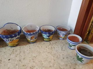 Lote de Macetas de Cerámica