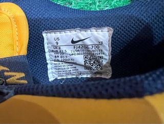 Nike Terminator Low Michigan 42.5
