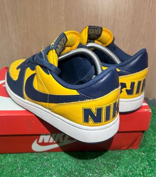 Nike Terminator Low Michigan 42.5