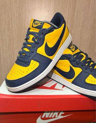 Nike Terminator Low Michigan 42.5
