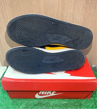 Nike Terminator Low Michigan 42.5