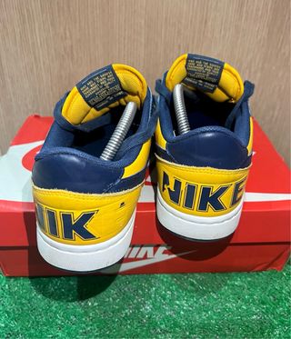 Nike Terminator Low Michigan 42.5