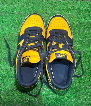 Nike Terminator Low Michigan 42.5
