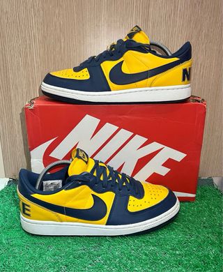 Nike Terminator Low Michigan 42.5